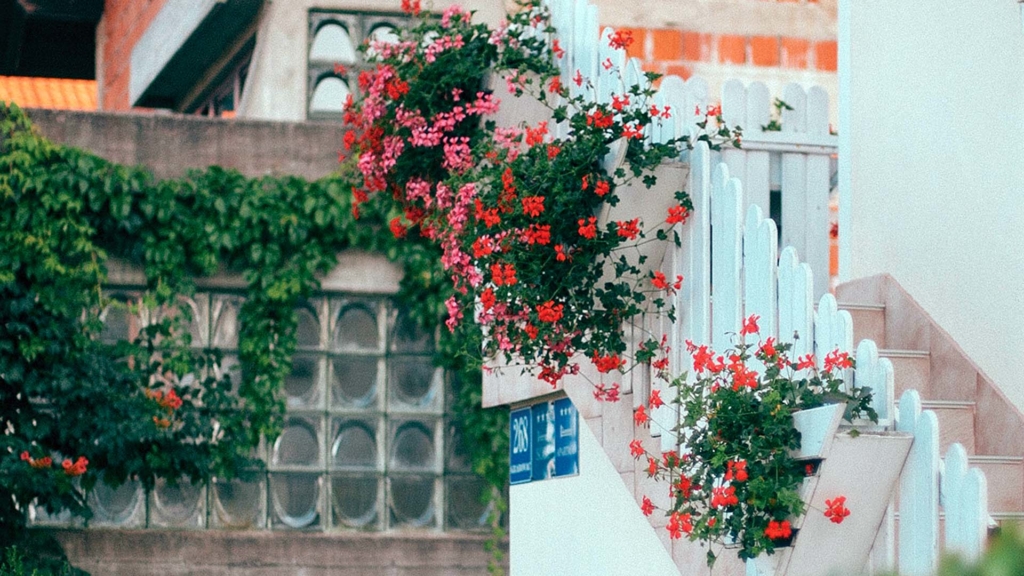 flowers