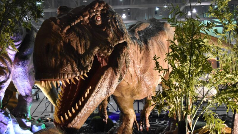 Jurassic Quest