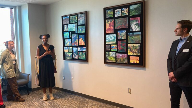 Paintings on display