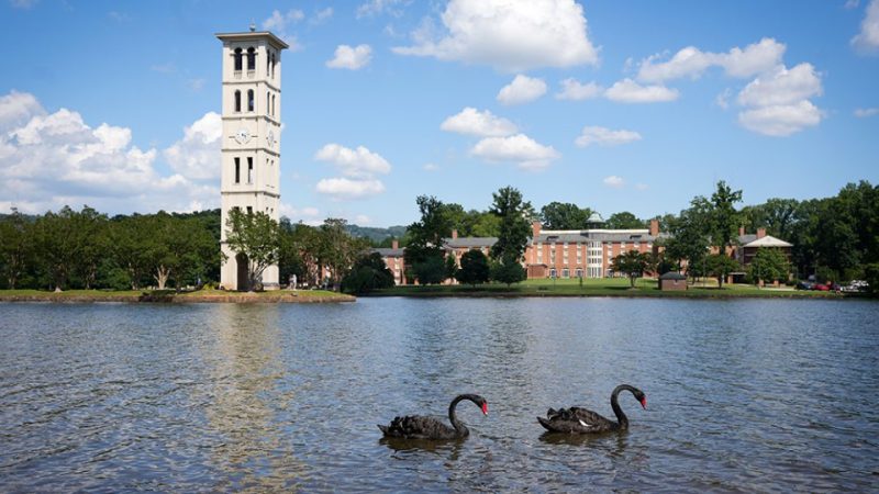 Furman lake
