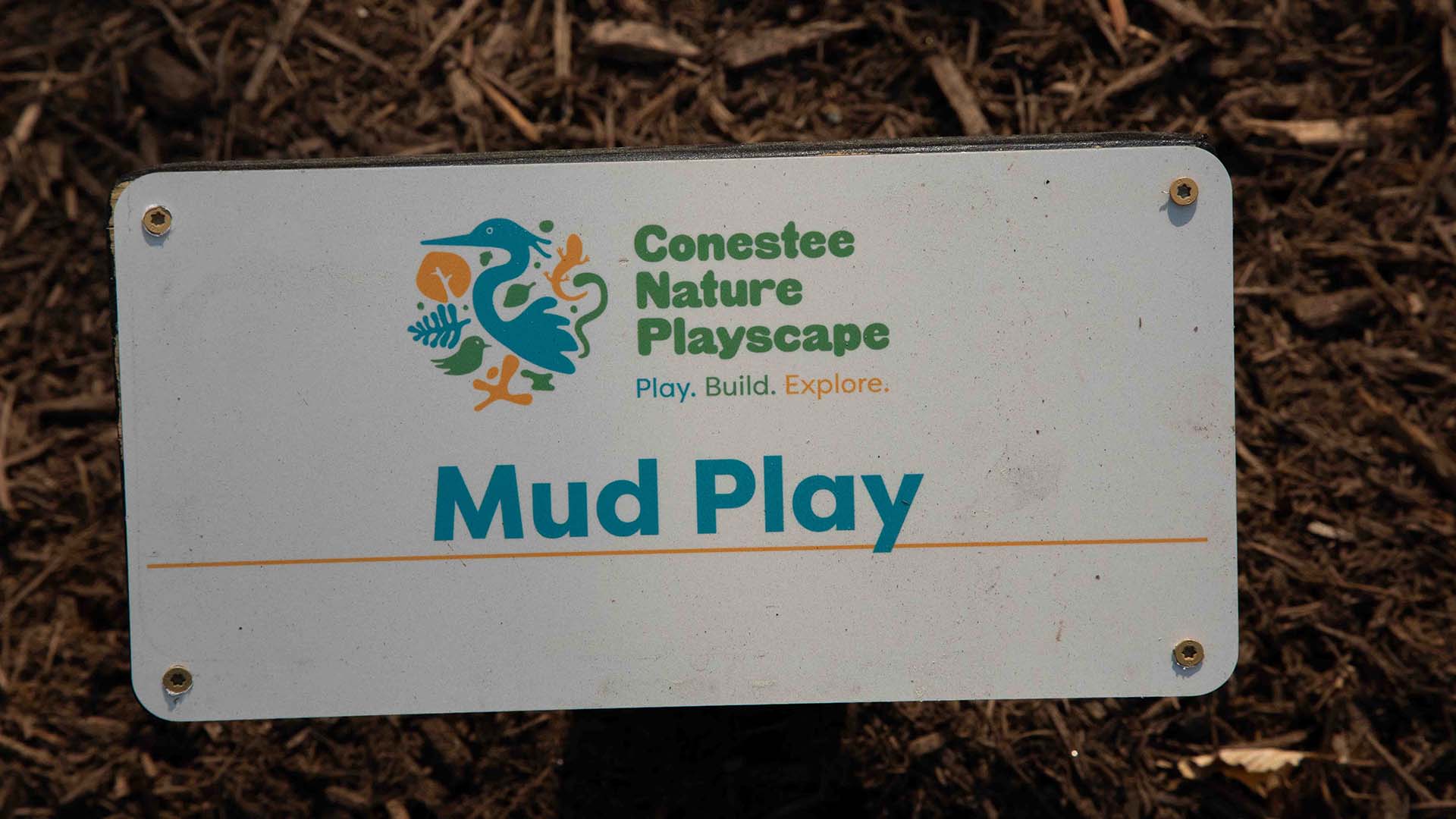 playscape at Conestee Nature Preserve - photo by Jeff Bradt