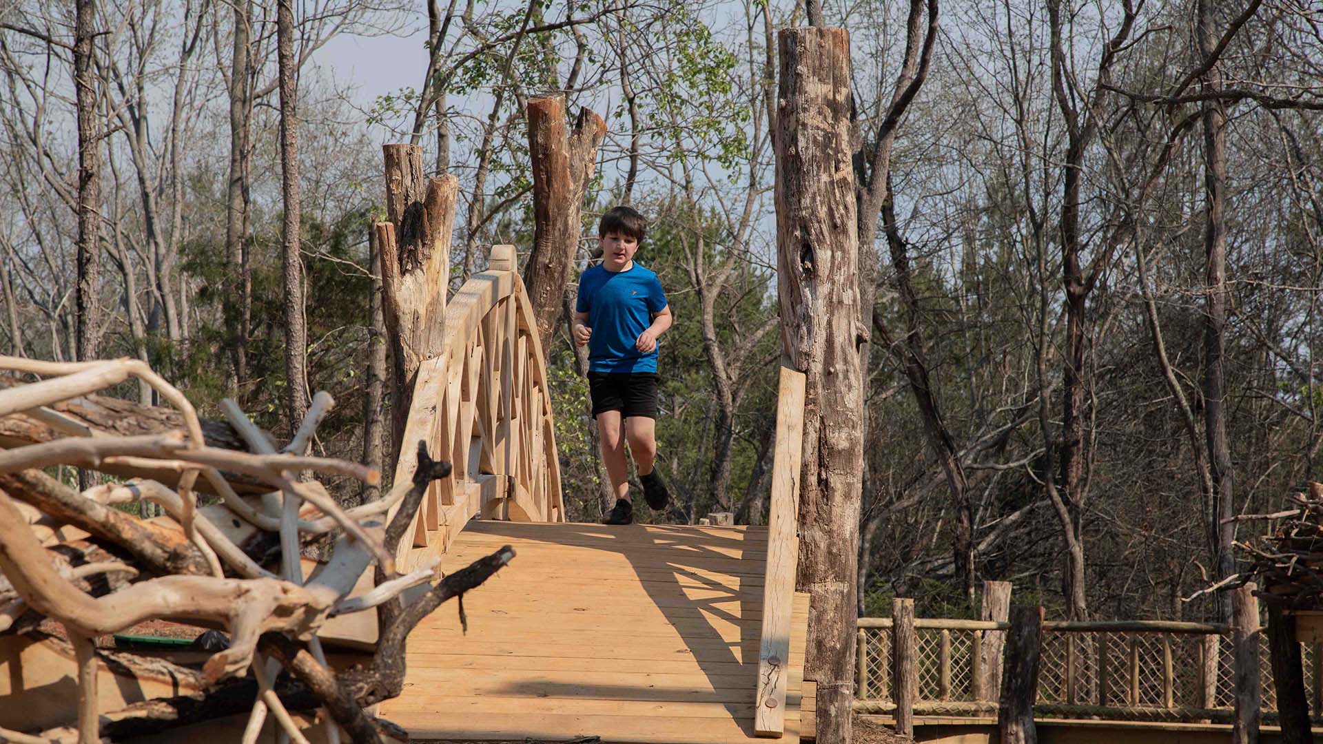 playscape at Conestee Nature Preserve - photo by Jeff Bradt