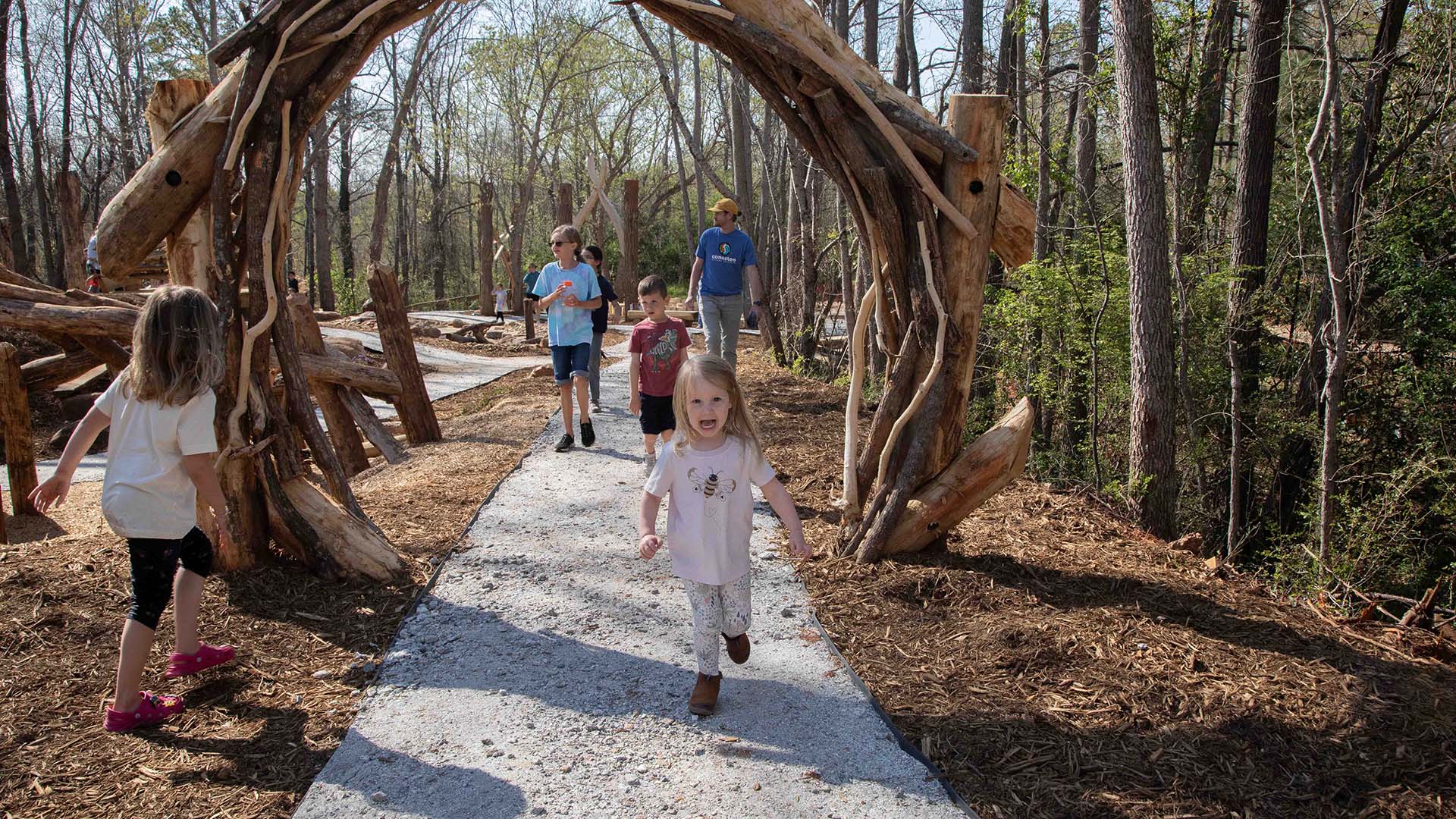 playscape at Conestee Nature Preserve - photo by Jeff Bradt
