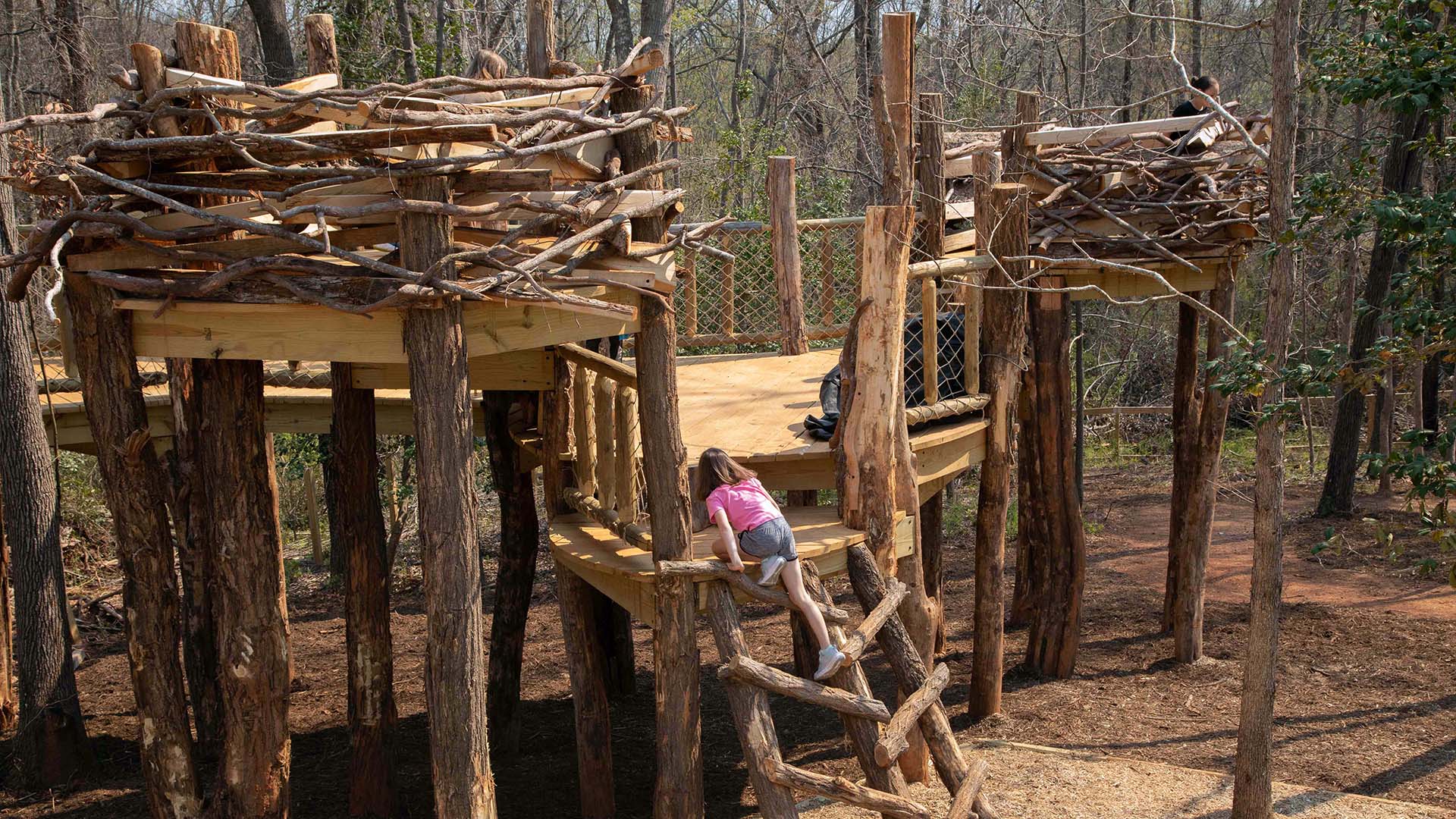 playscape at Conestee Nature Preserve - photo by Jeff Bradt