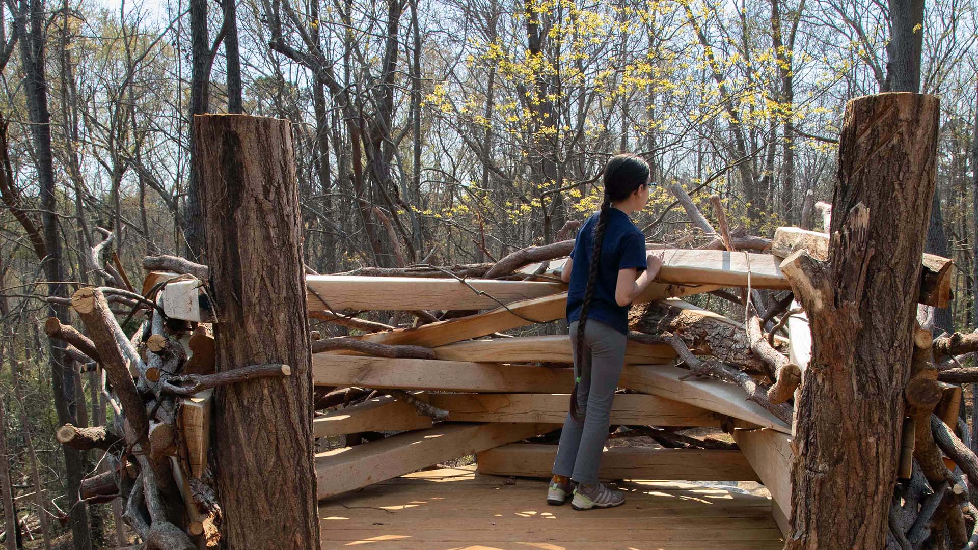 playscape at Conestee Nature Preserve - photo by Jeff Bradt