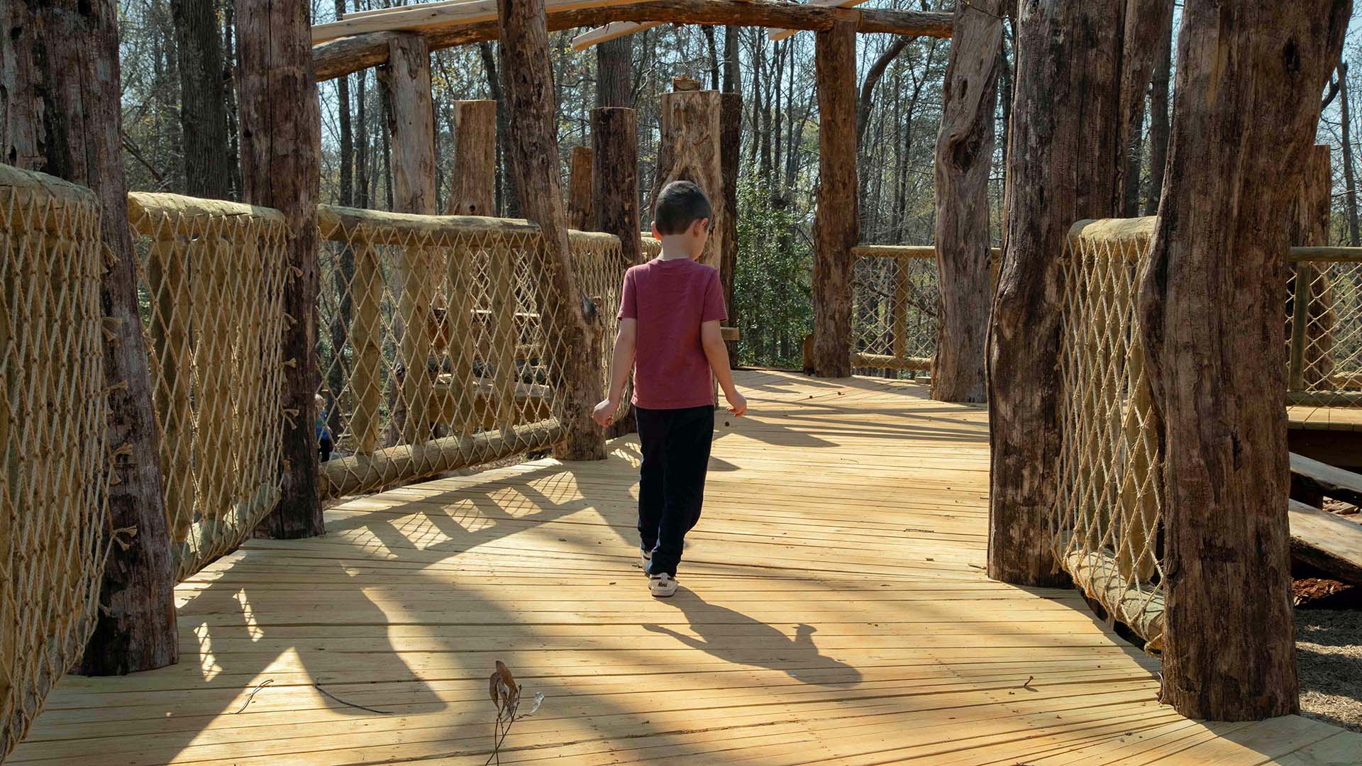 playscape at Conestee Nature Preserve - photo by Jeff Bradt