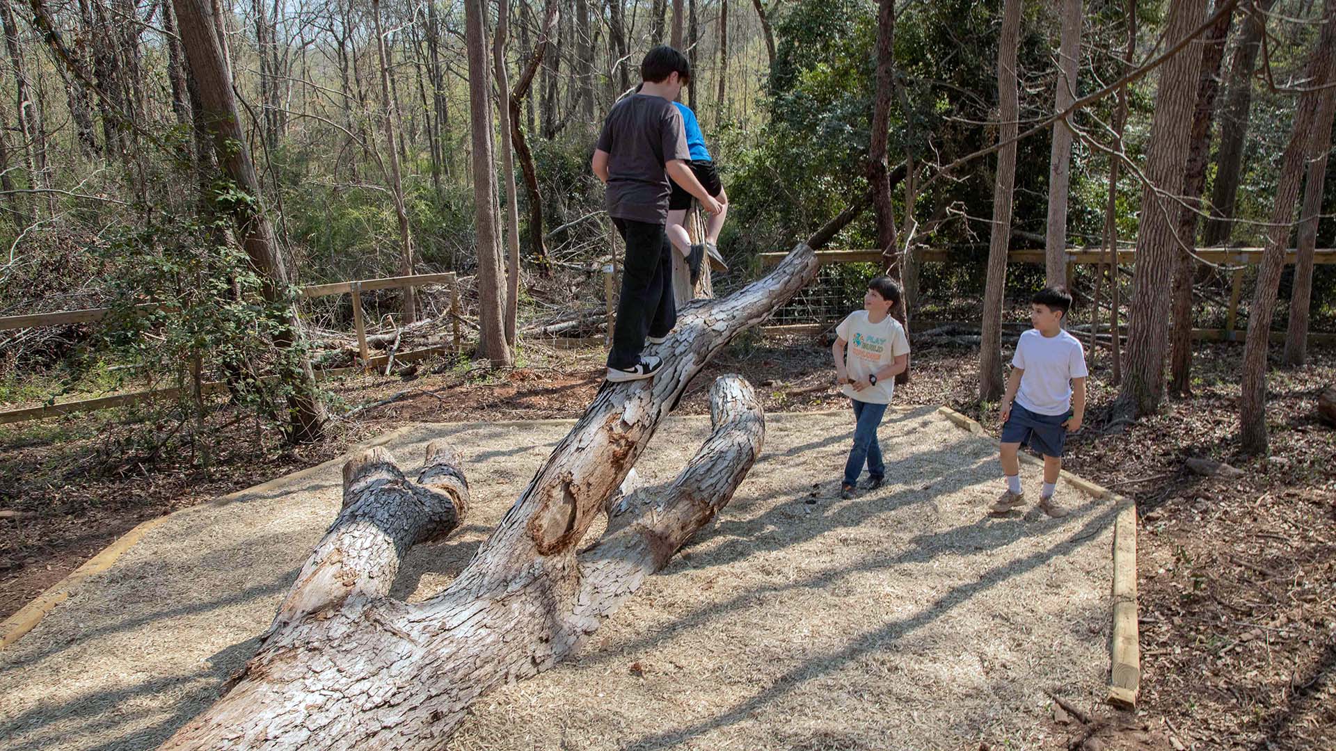 playscape at Conestee Nature Preserve - photo by Jeff Bradt